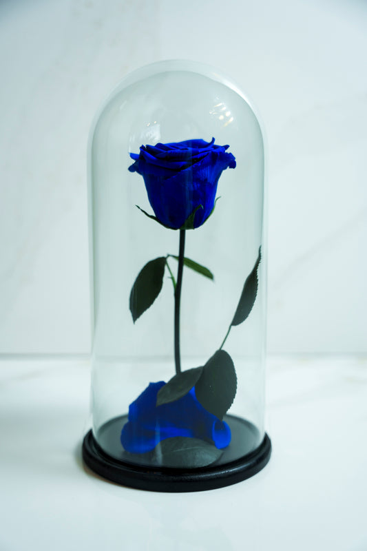 Rosa Preservada Azul