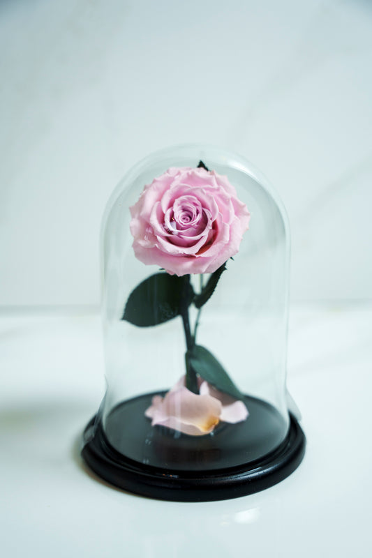 Rosa Preservada Pequeña