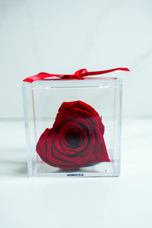 Rosa Preservada Corazon Rojo