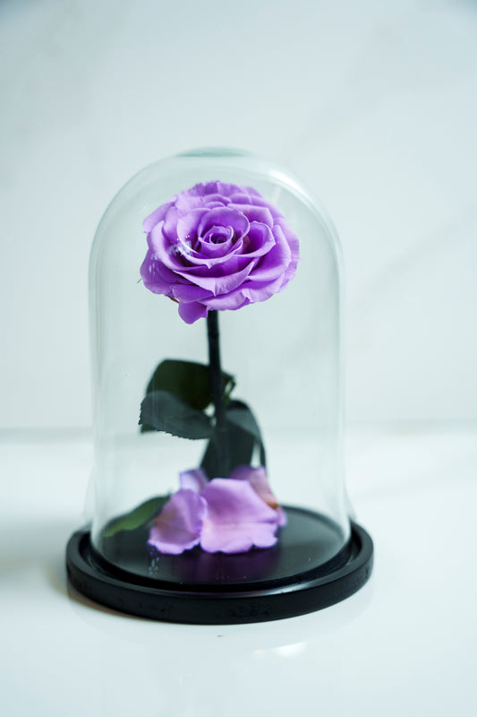 Rosa Preservada Violeta Pequeña