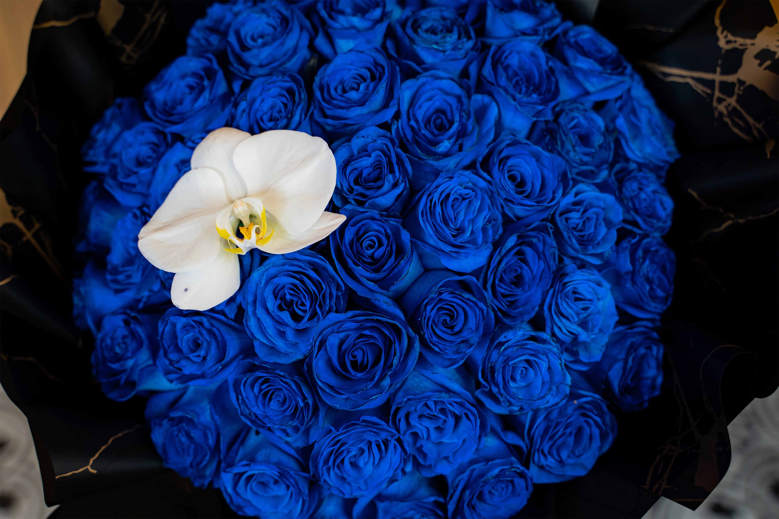 The proposal 50 rosas azules