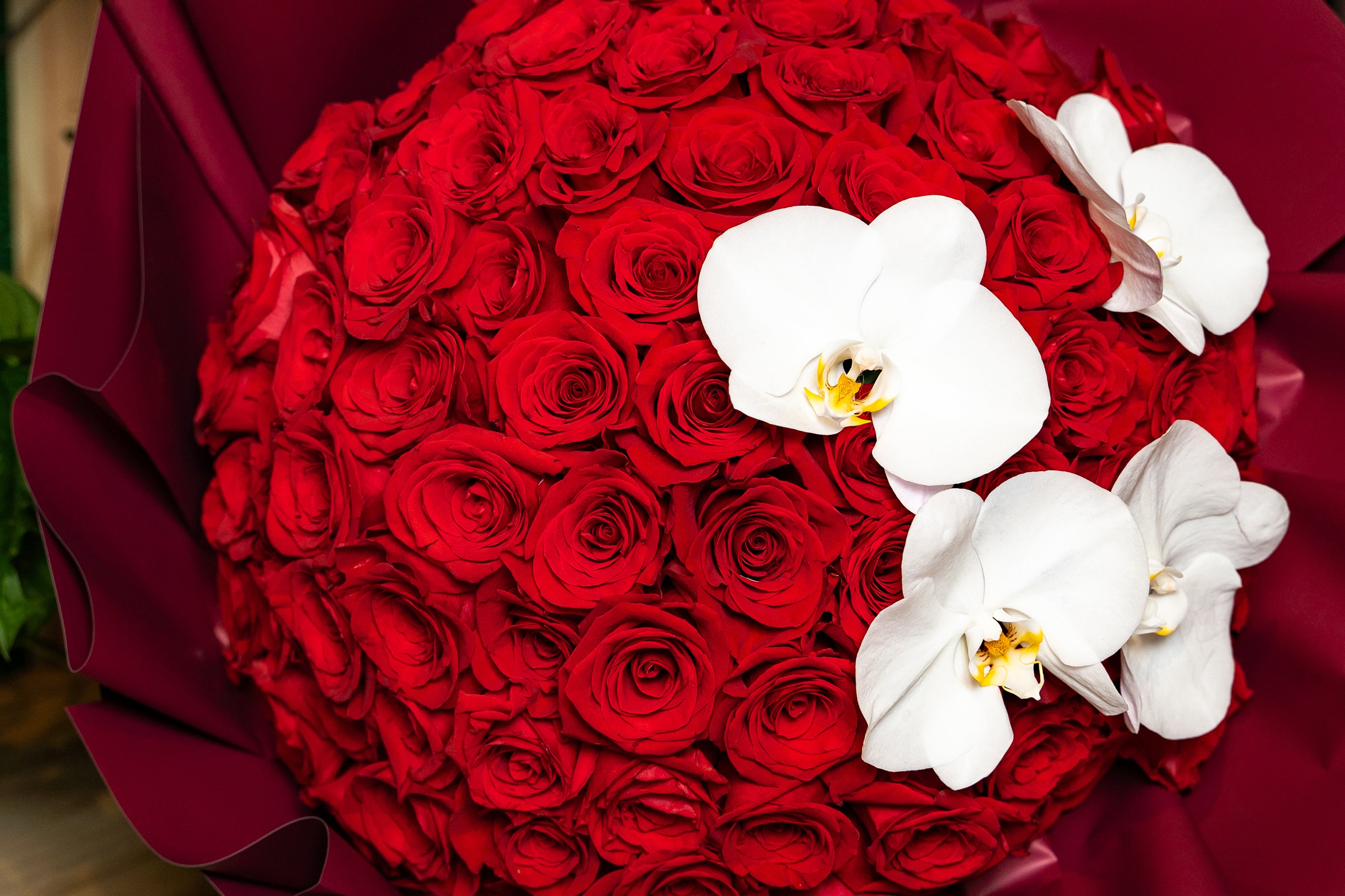 The Proposal rosas rojas 100